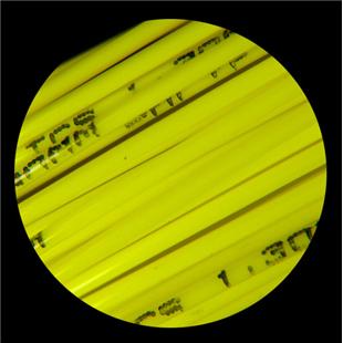 Tenis struna Polyfibre TCS - set